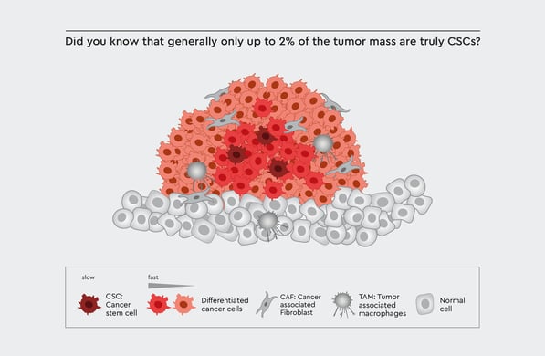L2 CSC - Figure 1 Tumor Biology