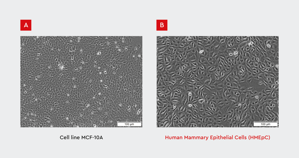 Prendio_Blog post_Primary human cells_Sept2025_Figure1