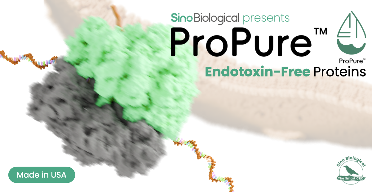 ProPure Article Thumbnail.003