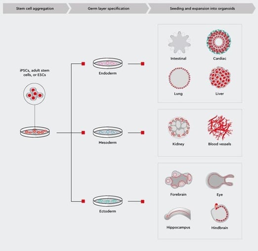 PromoCell Blog Image 1