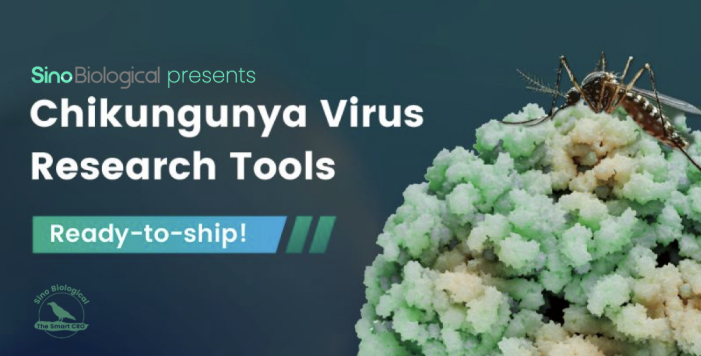 Sino Virus Post