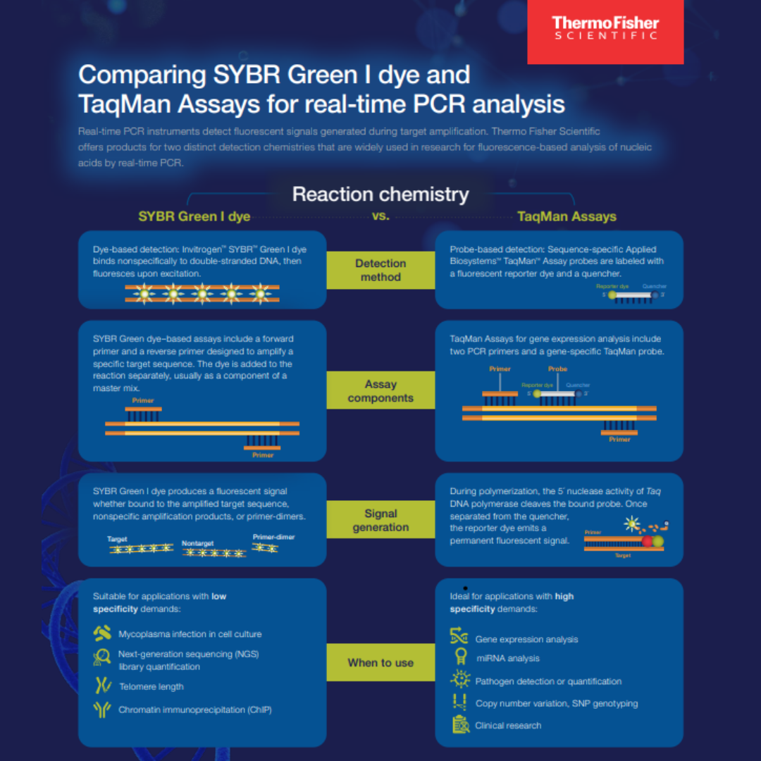 Thermo Fisher PCR Infographic